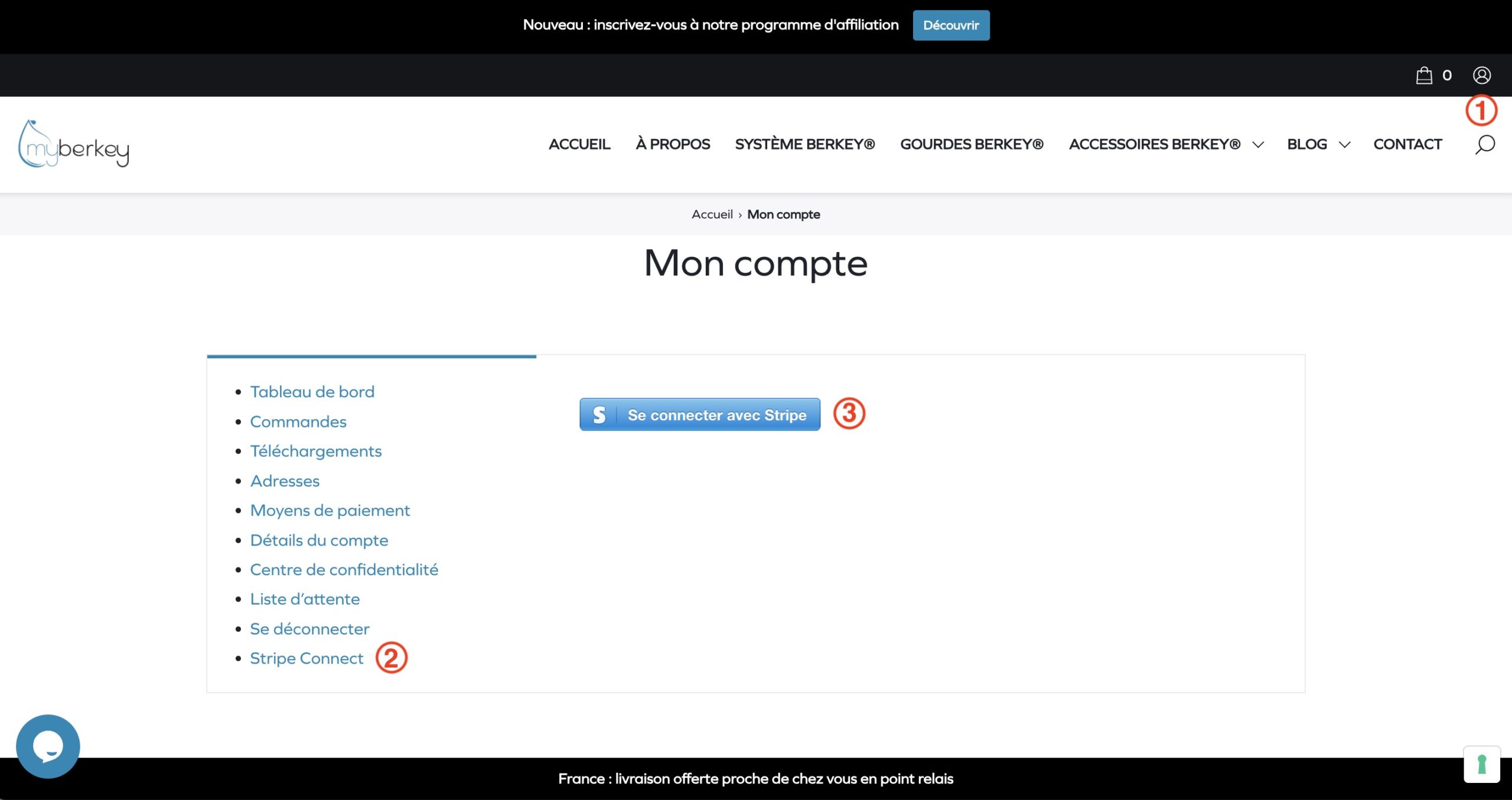 Mon compte - Stripe Connect